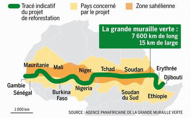 Région du Sahel : la Banque africaine de développement s’engage à mobiliser 6,5 milliards de dollars américains pour l’Initiative de la Grande muraille verte