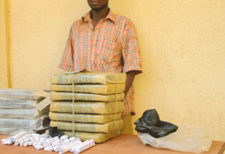 LUTTE CONTRE LE TRAFIC DE DROGUES À BOBO-DIOULASSO :  Un grossiste arrêté en possession de 20 kilogrammes de « Yamba »