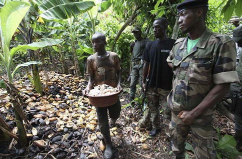 Agboville : Menacés d’expropriation, des planteurs Burkinabè appellent leur ambassadeur au secours