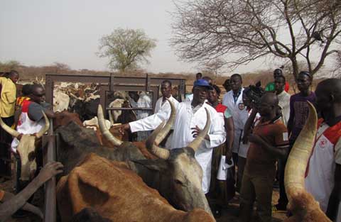  Santé animale : Le CICR et ses partenaires au chevet des éleveurs de l’Oudalan