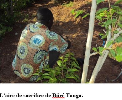 BIIRE -TANGA D’IMASGO : un patrimoine culturel aux multiples vertus.