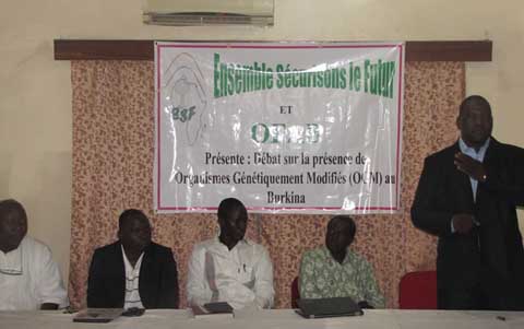 Biotechnologies modernes : Le coton BT, seule culture OGM commercialisée au Burkina