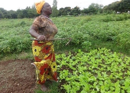 Aminata Kaboré : Profession, jardinière !