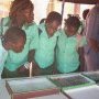 Les élèves du Collège Bon Berger en visite au stand Paludisme